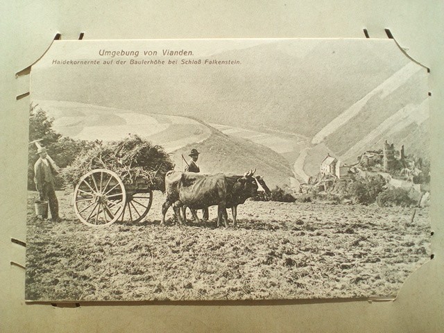 /Luxemburg/LU_Place_1900-1949_Vianden. Limberg und Malborget. Heugewinnung bei Falkenstein.jpg